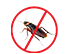 Cockroach